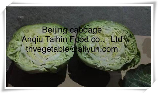 Cabbage