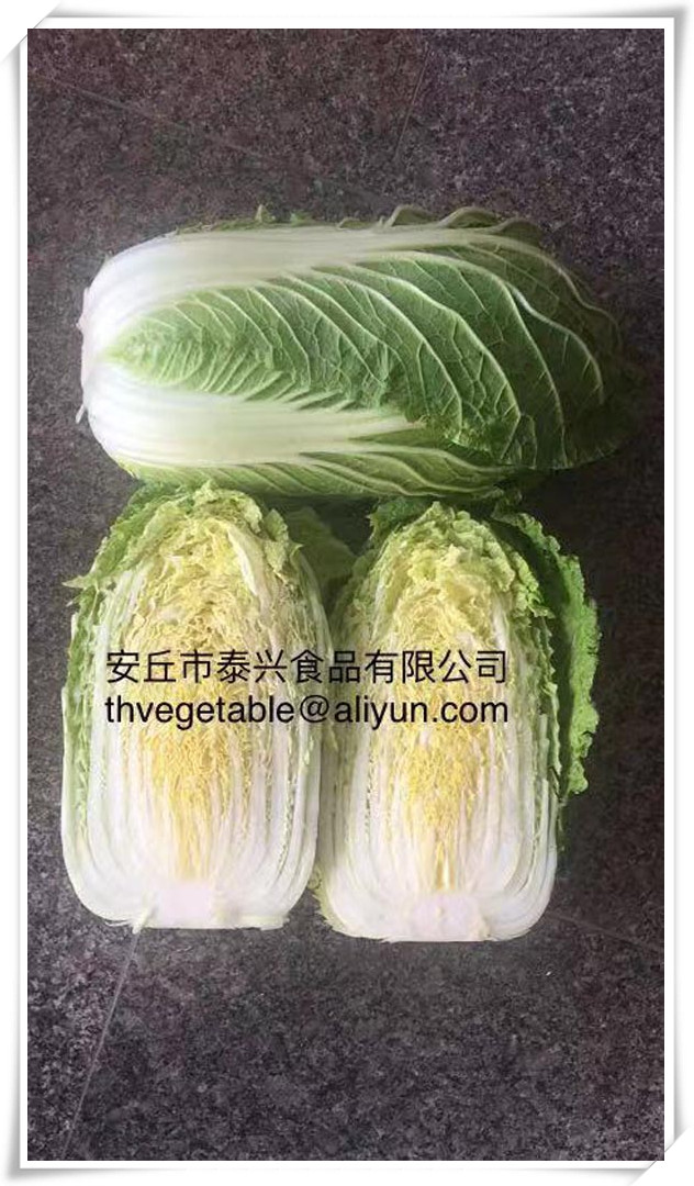 Chinese cabbage