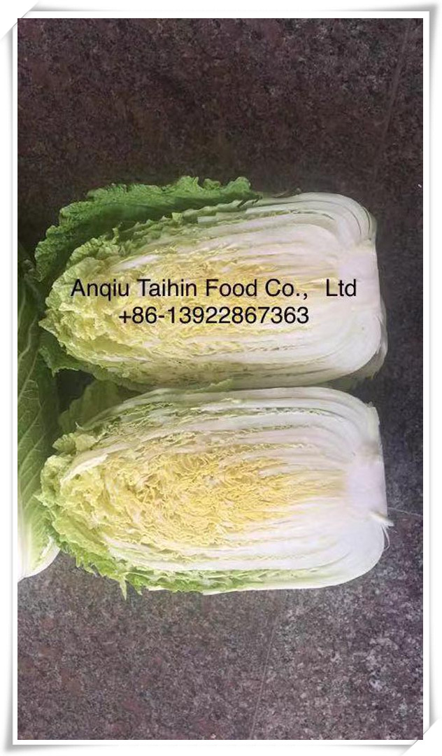 Chinese cabbage